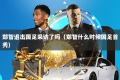 郑智退出国足采访了吗（郑智什么时候国足首秀）