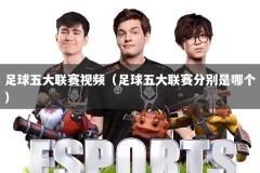 足球五大联赛视频（足球五大联赛分别是哪个）