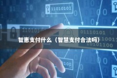 智惠支付什么（智慧支付合法吗）