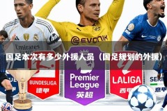 国足本次有多少外援人员（国足规划的外援）