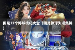 国足12个停球技巧大全（国足停球失误集锦）