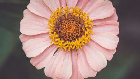 西班牙队公布27人名单备战世界杯，3月27日迎战塞尔维亚