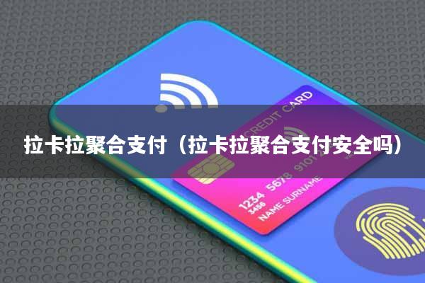 拉卡拉聚合支付(拉卡拉聚合支付安全吗)