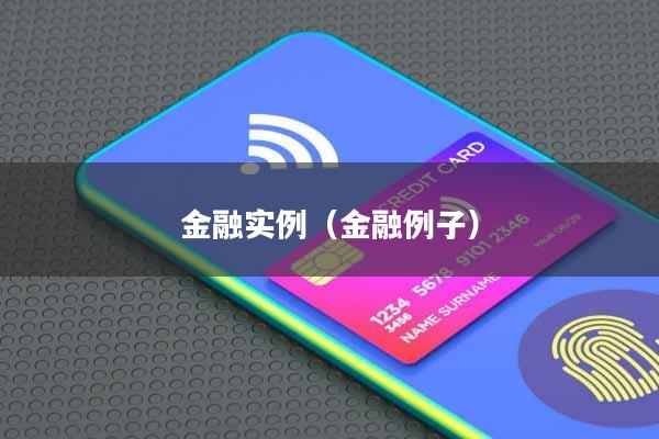 金融实例(金融例子)