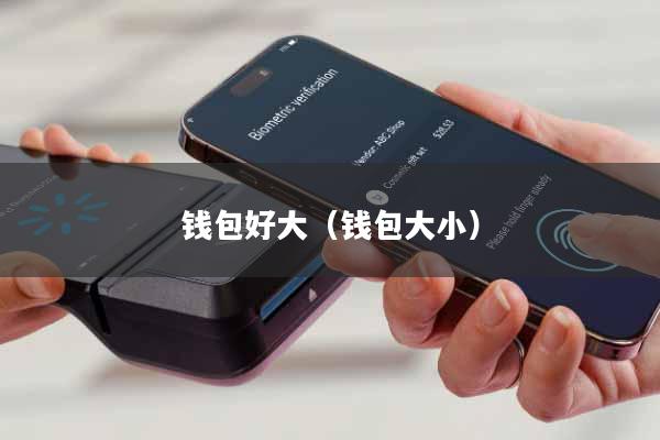 钱包好大(钱包大小)