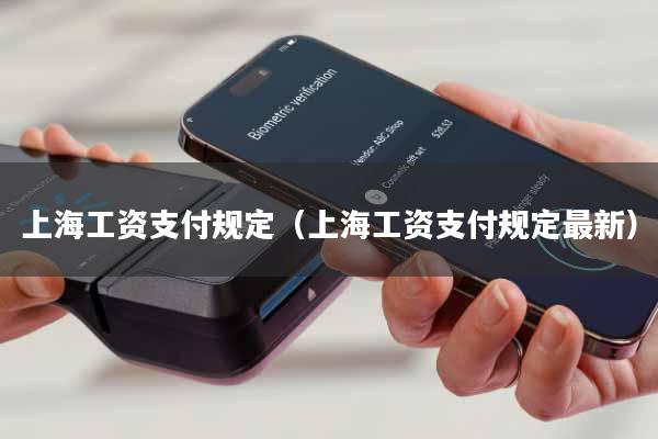 上海工资支付规定(上海工资支付规定最新)
